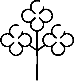Rapeseed Icon